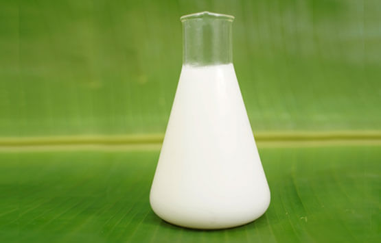 Manufacturers of Palm & Palm Kernel Oil