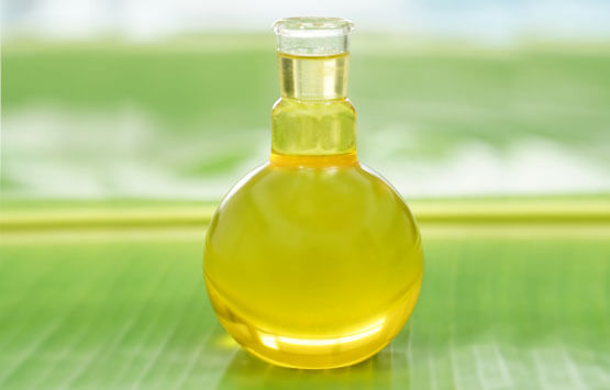 Manufacturers of Oleic Acid