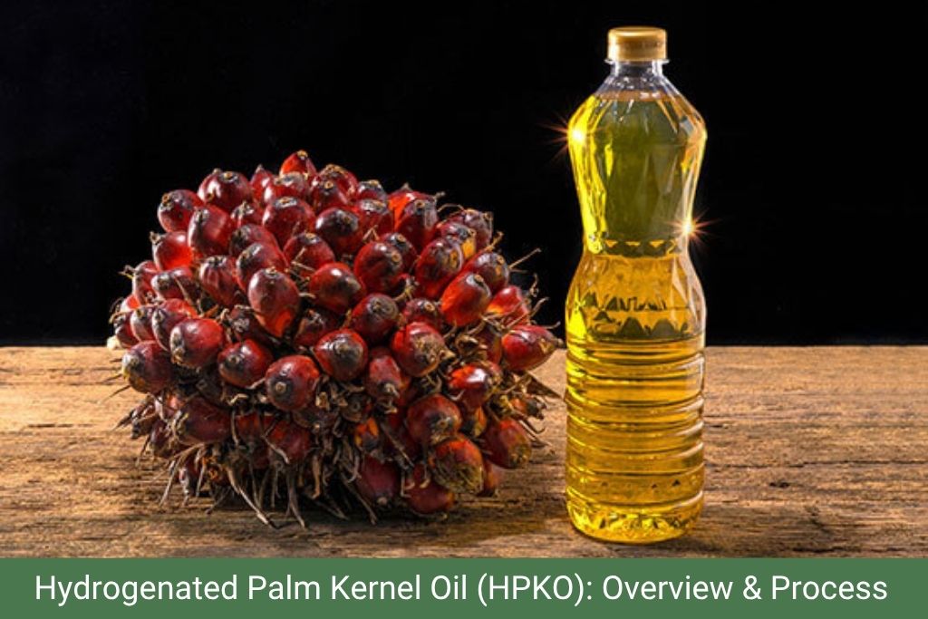 Hydrogenated Palm Kernel Oil HPKO Overview Process