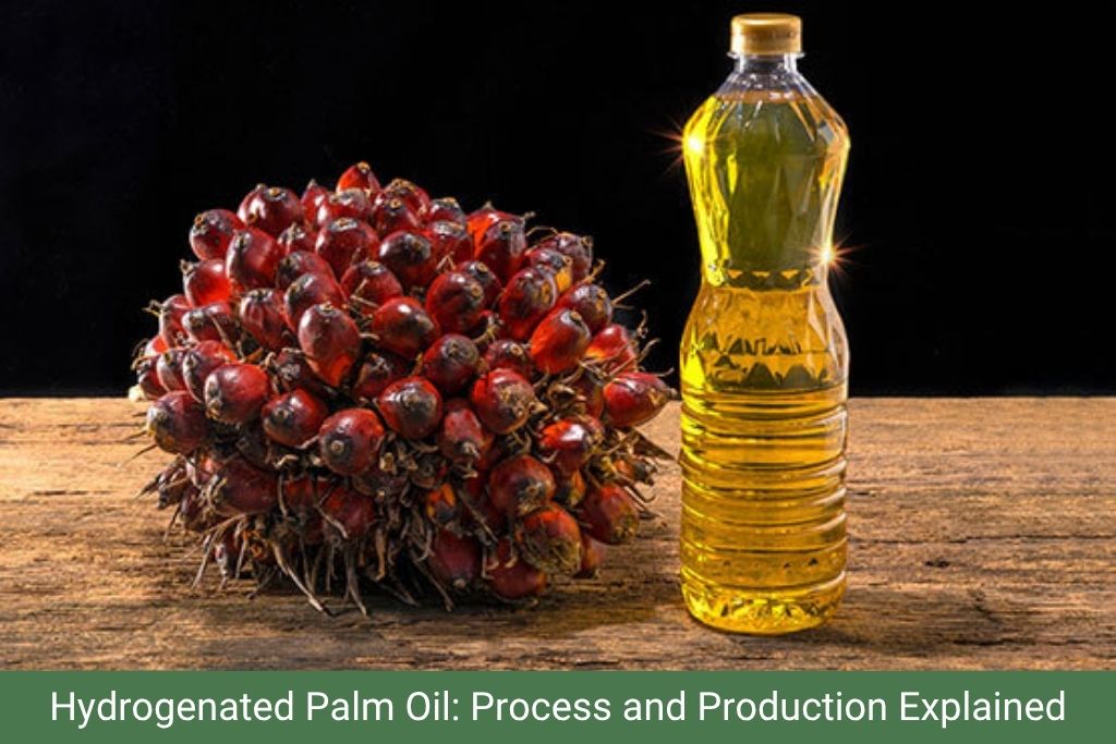 Hydrogenated Palm Oil Process Production Explained