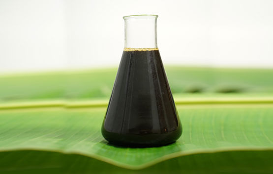 LABSA (Linear Alkylbenzene Sulfonic Acid)