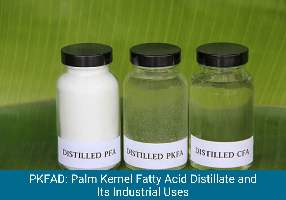 PKFAD Palm Kernel Fatty Acid Distillate Its Industrial Uses