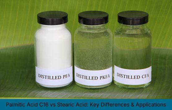 Palmitic Acid C16 Stearic Acid Key Differences Applications