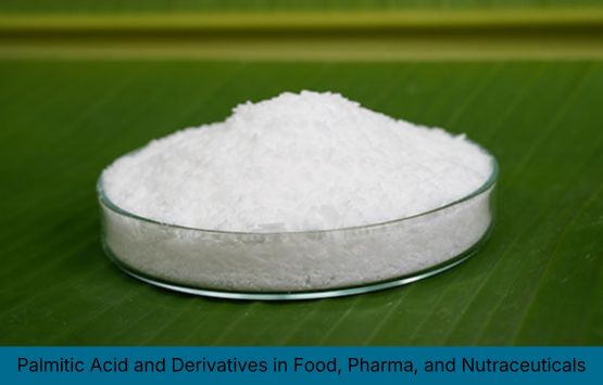 Palmitic Acid Derivatives Food Pharma Nutraceuticals