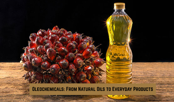 Oleochemicals Suppliers
